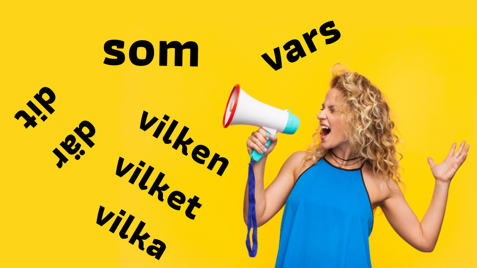Relativa pronomen - szwedzkie zaimki względne . Szwedzki online.